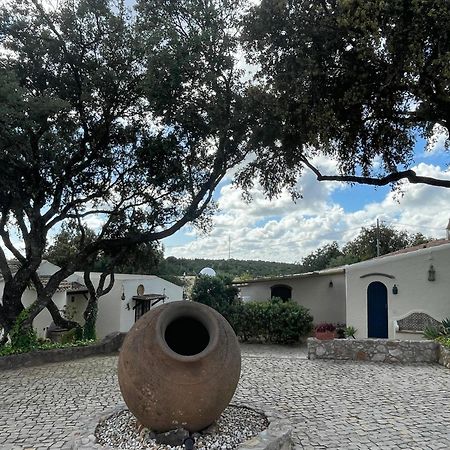 Monte Borboleta FAO Exterior foto